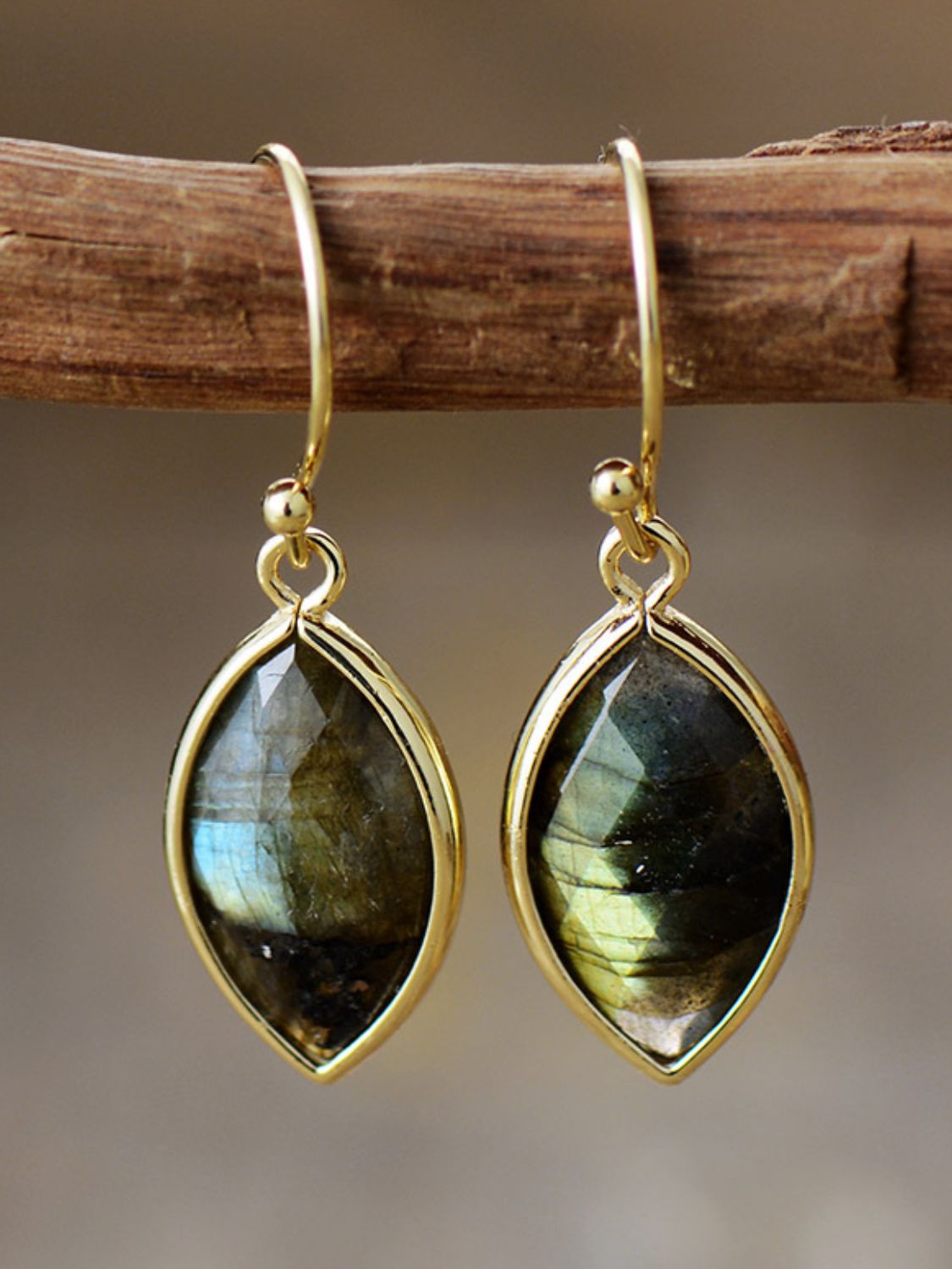 Natural Stone Labradorite Gold-Plated  Dangle Earrings